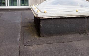disadvantages of Bird Obsy flat roofs