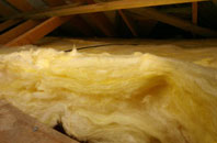 Bird Obsy pitch roof insulation